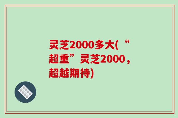 灵芝2000多大(“超重”灵芝2000，超越期待)-第1张图片-破壁灵芝孢子粉研究指南