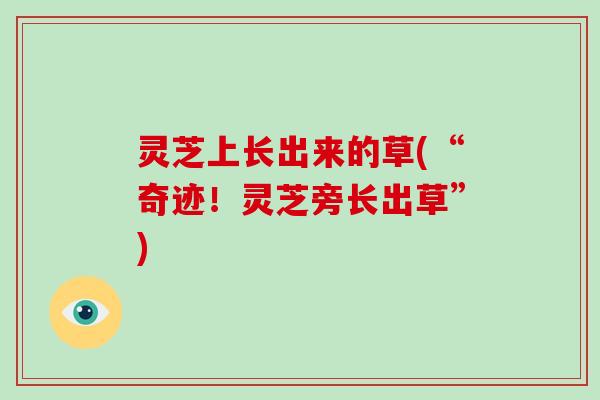 灵芝上长出来的草(“奇迹！灵芝旁长出草”)-第1张图片-破壁灵芝孢子粉研究指南
