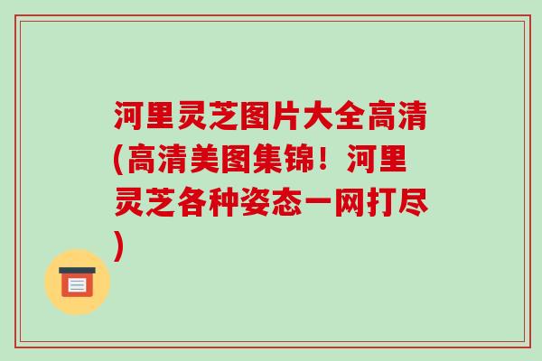 河里灵芝图片大全高清(高清美图集锦!河里灵芝各种姿态一网打尽)-第1张图片-破壁灵芝孢子粉研究指南 河里灵芝图片大全高清(高清美图集锦!河里灵芝各种姿态一网打尽)-第1张图片-破壁灵芝孢子粉研究指南