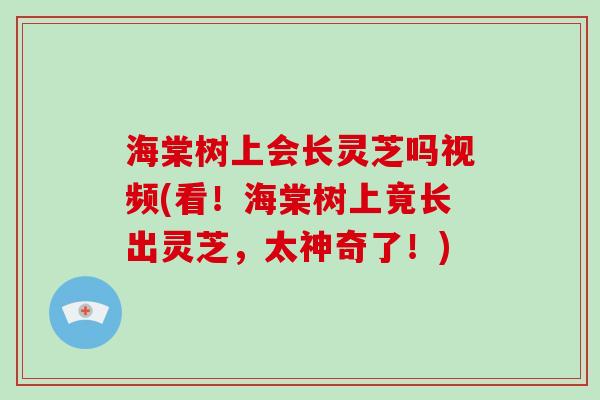 海棠树上会长灵芝吗视频(看!海棠树上竟长出灵芝,太神奇了!)-第1张图片-破壁灵芝孢子粉研究指南 海棠树上会长灵芝吗视频(看!海棠树上竟长出灵芝,太神奇了!)-第1张图片-破壁灵芝孢子粉研究指南