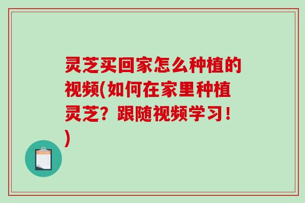 灵芝买回家怎么种植的视频(如何在家里种植灵芝?跟随视频学习!)-第1张图片-破壁灵芝孢子粉研究指南 灵芝买回家怎么种植的视频(如何在家里种植灵芝?跟随视频学习!)-第1张图片-破壁灵芝孢子粉研究指南