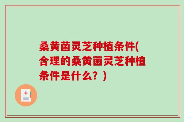 桑黄菌灵芝种植条件(合理的桑黄菌灵芝种植条件是什么?)-第1张图片-破壁灵芝孢子粉研究指南 桑黄菌灵芝种植条件(合理的桑黄菌灵芝种植条件是什么?)-第1张图片-破壁灵芝孢子粉研究指南