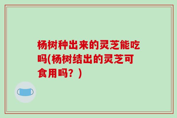 杨树种出来的灵芝能吃吗(杨树结出的灵芝可食用吗？)-第1张图片-破壁灵芝孢子粉研究指南