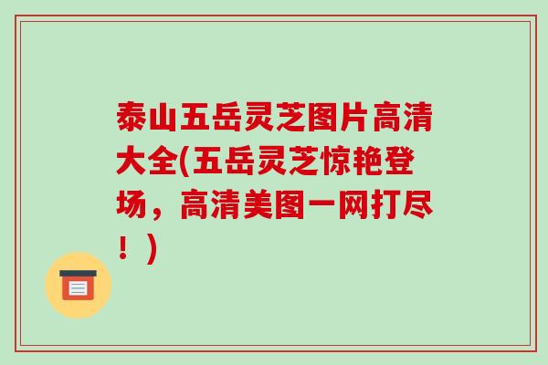 泰山五岳灵芝图片高清大全(五岳灵芝惊艳登场,高清美图一网打尽!)-第1张图片-破壁灵芝孢子粉研究指南 泰山五岳灵芝图片高清大全(五岳灵芝惊艳登场,高清美图一网打尽!)-第1张图片-破壁灵芝孢子粉研究指南