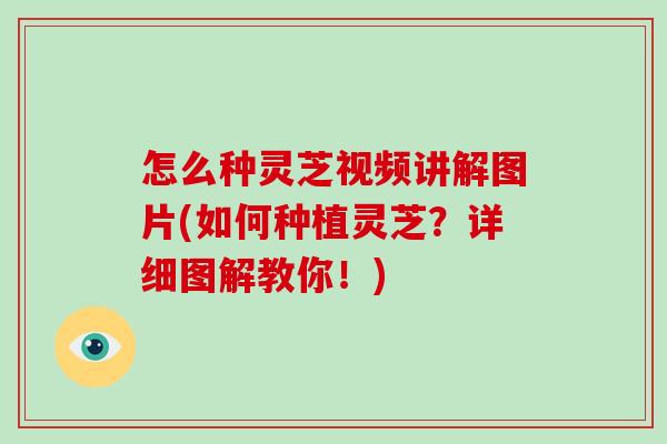 怎么种灵芝视频讲解图片(如何种植灵芝？详细图解教你！)-第1张图片-破壁灵芝孢子粉研究指南