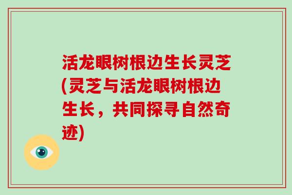 活龙眼树根边生长灵芝(灵芝与活龙眼树根边生长,共同探寻自然奇迹)-第1张图片-破壁灵芝孢子粉研究指南 活龙眼树根边生长灵芝(灵芝与活龙眼树根边生长,共同探寻自然奇迹)-第1张图片-破壁灵芝孢子粉研究指南