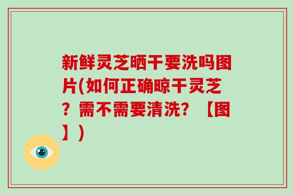 新鲜灵芝晒干要洗吗图片(如何正确晾干灵芝？需不需要清洗？【图】)-第1张图片-破壁灵芝孢子粉研究指南