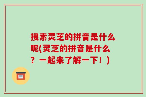 搜索灵芝的拼音是什么呢(灵芝的拼音是什么?一起来了解一下!)-第1张图片-破壁灵芝孢子粉研究指南 搜索灵芝的拼音是什么呢(灵芝的拼音是什么?一起来了解一下!)-第1张图片-破壁灵芝孢子粉研究指南