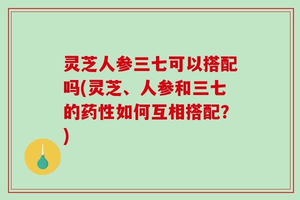 灵芝人参三七可以搭配吗(灵芝、人参和三七的药性如何互相搭配？)-第1张图片-破壁灵芝孢子粉研究指南
