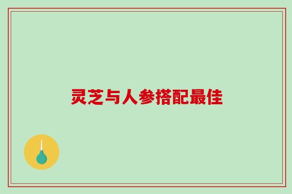 灵芝与人参搭配最佳-第1张图片-破壁灵芝孢子粉研究指南 灵芝与人参搭配最佳-第1张图片-破壁灵芝孢子粉研究指南