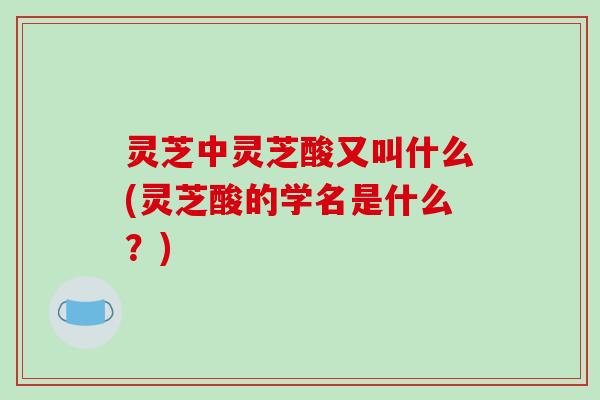 灵芝中灵芝酸又叫什么(灵芝酸的学名是什么?)-第1张图片-破壁灵芝孢子粉研究指南 灵芝中灵芝酸又叫什么(灵芝酸的学名是什么?)-第1张图片-破壁灵芝孢子粉研究指南