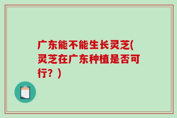 广东能不能生长灵芝(灵芝在广东种植是否可行?)-第1张图片-破壁灵芝孢子粉研究指南 广东能不能生长灵芝(灵芝在广东种植是否可行?)-第1张图片-破壁灵芝孢子粉研究指南