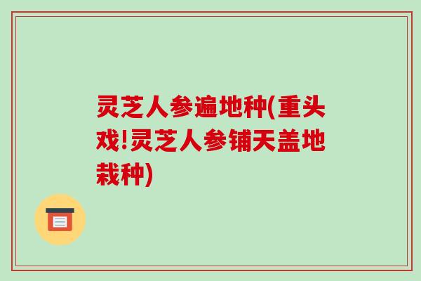 灵芝人参遍地种(重头戏!灵芝人参铺天盖地栽种)-第1张图片-破壁灵芝孢子粉研究指南 灵芝人参遍地种(重头戏!灵芝人参铺天盖地栽种)-第1张图片-破壁灵芝孢子粉研究指南