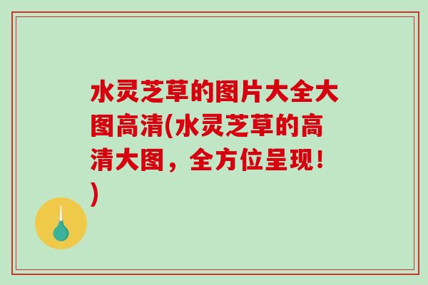 水灵芝草的图片大全大图高清(水灵芝草的高清大图,全方位呈现!)-第1张图片-破壁灵芝孢子粉研究指南 水灵芝草的图片大全大图高清(水灵芝草的高清大图,全方位呈现!)-第1张图片-破壁灵芝孢子粉研究指南