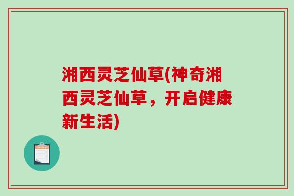 湘西灵芝仙草(神奇湘西灵芝仙草,开启健康新生活)-第1张图片-破壁灵芝孢子粉研究指南 湘西灵芝仙草(神奇湘西灵芝仙草,开启健康新生活)-第1张图片-破壁灵芝孢子粉研究指南