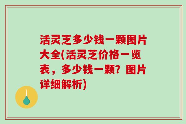 活灵芝多少钱一颗图片大全(活灵芝价格一览表,多少钱一颗?图片详细解析)-第1张图片-破壁灵芝孢子粉研究指南 活灵芝多少钱一颗图片大全(活灵芝价格一览表,多少钱一颗?图片详细解析)-第1张图片-破壁灵芝孢子粉研究指南