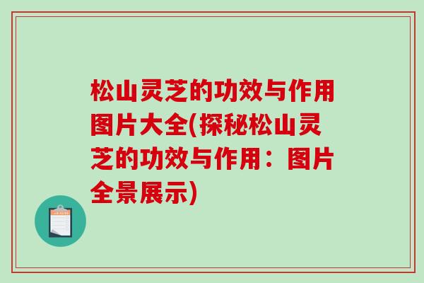 松山灵芝的功效与作用图片大全(探秘松山灵芝的功效与作用:图片全景展示)-第1张图片-破壁灵芝孢子粉研究指南 松山灵芝的功效与作用图片大全(探秘松山灵芝的功效与作用:图片全景展示)-第1张图片-破壁灵芝孢子粉研究指南