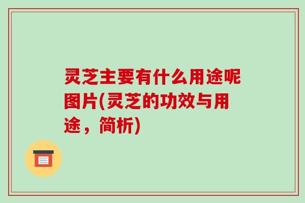 灵芝主要有什么用途呢图片(灵芝的功效与用途,简析)-第1张图片-破壁灵芝孢子粉研究指南 灵芝主要有什么用途呢图片(灵芝的功效与用途,简析)-第1张图片-破壁灵芝孢子粉研究指南