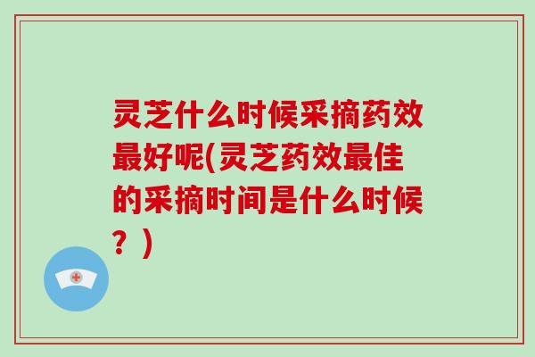 灵芝什么时候采摘药效最好呢(灵芝药效最佳的采摘时间是什么时候?)-第1张图片-破壁灵芝孢子粉研究指南 灵芝什么时候采摘药效最好呢(灵芝药效最佳的采摘时间是什么时候?)-第1张图片-破壁灵芝孢子粉研究指南
