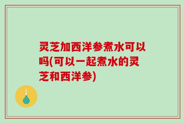 灵芝加西洋参煮水可以吗(可以一起煮水的灵芝和西洋参)-第1张图片-破壁灵芝孢子粉研究指南 灵芝加西洋参煮水可以吗(可以一起煮水的灵芝和西洋参)-第1张图片-破壁灵芝孢子粉研究指南