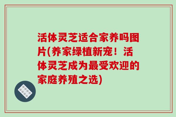 活体灵芝适合家养吗图片(养家绿植新宠!活体灵芝成为最受欢迎的家庭养殖之选)-第1张图片-破壁灵芝孢子粉研究指南 活体灵芝适合家养吗图片(养家绿植新宠!活体灵芝成为最受欢迎的家庭养殖之选)-第1张图片-破壁灵芝孢子粉研究指南