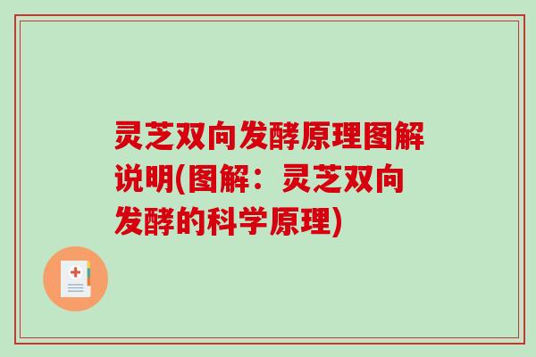 灵芝双向发酵原理图解说明(图解:灵芝双向发酵的科学原理)-第1张图片-破壁灵芝孢子粉研究指南 灵芝双向发酵原理图解说明(图解:灵芝双向发酵的科学原理)-第1张图片-破壁灵芝孢子粉研究指南