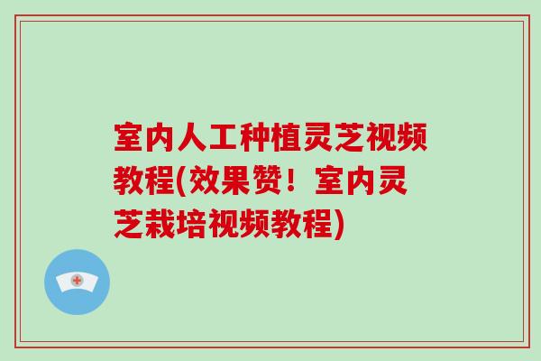 室内人工种植灵芝视频教程(效果赞!室内灵芝栽培视频教程)-第1张图片-破壁灵芝孢子粉研究指南 室内人工种植灵芝视频教程(效果赞!室内灵芝栽培视频教程)-第1张图片-破壁灵芝孢子粉研究指南
