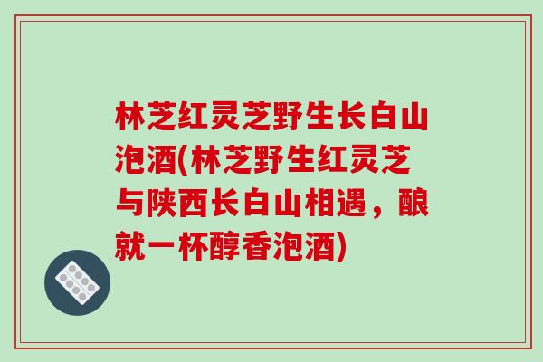 林芝红灵芝野生长白山泡酒(林芝野生红灵芝与陕西长白山相遇，酿就一杯醇香泡酒)-第1张图片-破壁灵芝孢子粉研究指南