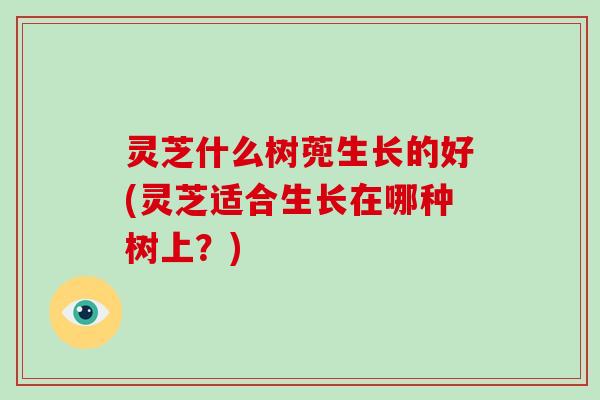 灵芝什么树蔸生长的好(灵芝适合生长在哪种树上？)-第1张图片-破壁灵芝孢子粉研究指南