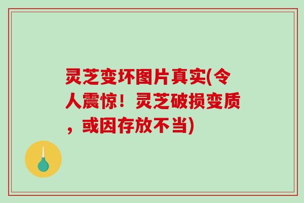 灵芝变坏图片真实(令人震惊！灵芝破损变质，或因存放不当)-第1张图片-破壁灵芝孢子粉研究指南