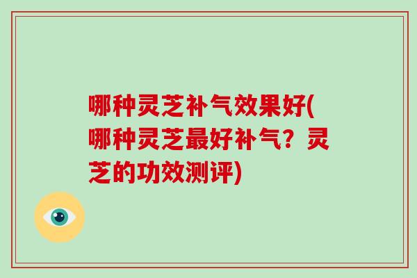 哪种灵芝补气效果好(哪种灵芝最好补气?灵芝的功效测评)-第1张图片-破壁灵芝孢子粉研究指南 哪种灵芝补气效果好(哪种灵芝最好补气?灵芝的功效测评)-第1张图片-破壁灵芝孢子粉研究指南