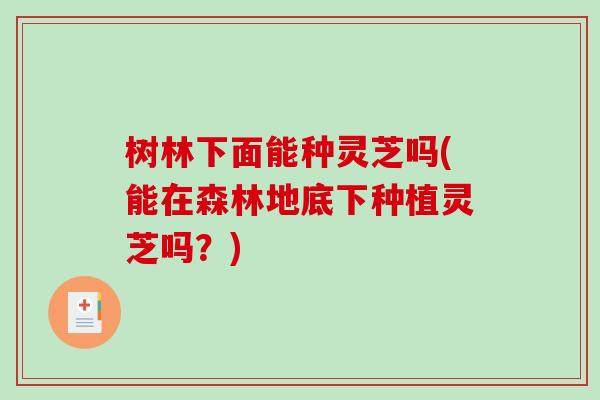 树林下面能种灵芝吗(能在森林地底下种植灵芝吗?)-第1张图片-破壁灵芝孢子粉研究指南 树林下面能种灵芝吗(能在森林地底下种植灵芝吗?)-第1张图片-破壁灵芝孢子粉研究指南