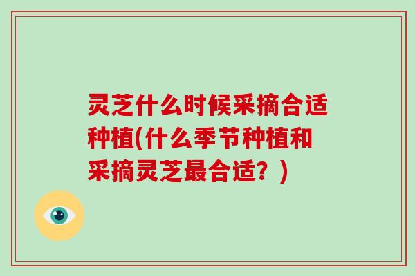 灵芝什么时候采摘合适种植(什么季节种植和采摘灵芝最合适?)-第1张图片-破壁灵芝孢子粉研究指南 灵芝什么时候采摘合适种植(什么季节种植和采摘灵芝最合适?)-第1张图片-破壁灵芝孢子粉研究指南