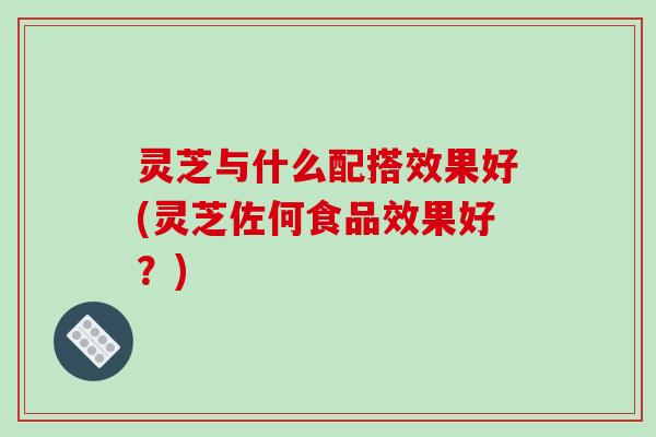 灵芝与什么配搭效果好(灵芝佐何食品效果好?)-第1张图片-破壁灵芝孢子粉研究指南 灵芝与什么配搭效果好(灵芝佐何食品效果好?)-第1张图片-破壁灵芝孢子粉研究指南