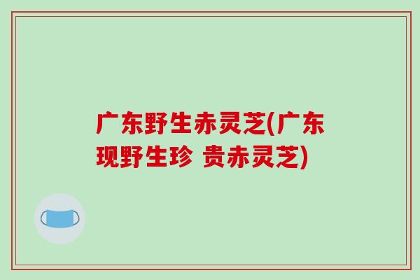 广东野生赤灵芝(广东现野生珍 贵赤灵芝)-第1张图片-破壁灵芝孢子粉研究指南 广东野生赤灵芝(广东现野生珍 贵赤灵芝)-第1张图片-破壁灵芝孢子粉研究指南