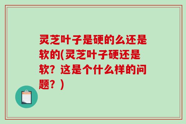 灵芝叶子是硬的么还是软的(灵芝叶子硬还是软?这是个什么样的问题?)-第1张图片-破壁灵芝孢子粉研究指南 灵芝叶子是硬的么还是软的(灵芝叶子硬还是软?这是个什么样的问题?)-第1张图片-破壁灵芝孢子粉研究指南