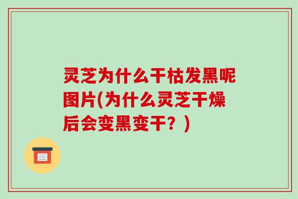 灵芝为什么干枯发黑呢图片(为什么灵芝干燥后会变黑变干?)-第1张图片-破壁灵芝孢子粉研究指南 灵芝为什么干枯发黑呢图片(为什么灵芝干燥后会变黑变干?)-第1张图片-破壁灵芝孢子粉研究指南