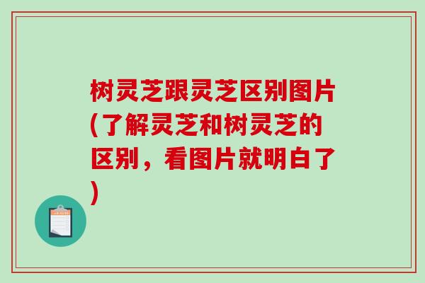 树灵芝跟灵芝区别图片(了解灵芝和树灵芝的区别,看图片就明白了)-第1张图片-破壁灵芝孢子粉研究指南 树灵芝跟灵芝区别图片(了解灵芝和树灵芝的区别,看图片就明白了)-第1张图片-破壁灵芝孢子粉研究指南