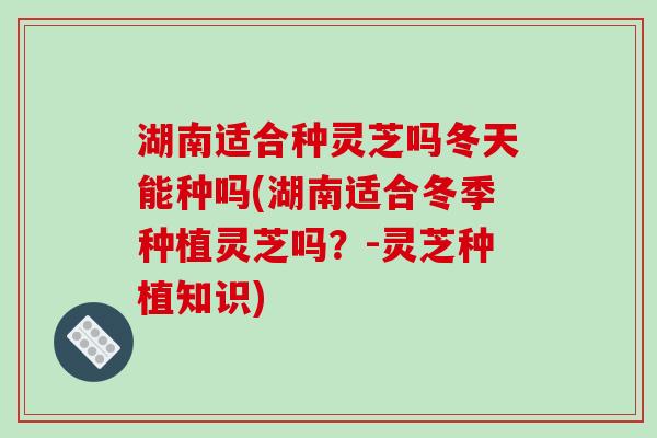 湖南适合种灵芝吗冬天能种吗(湖南适合冬季种植灵芝吗?-灵芝种植知识)-第1张图片-破壁灵芝孢子粉研究指南 湖南适合种灵芝吗冬天能种吗(湖南适合冬季种植灵芝吗?-灵芝种植知识)-第1张图片-破壁灵芝孢子粉研究指南