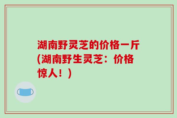 湖南野灵芝的价格一斤(湖南野生灵芝:价格惊人!)-第1张图片-破壁灵芝孢子粉研究指南 湖南野灵芝的价格一斤(湖南野生灵芝:价格惊人!)-第1张图片-破壁灵芝孢子粉研究指南