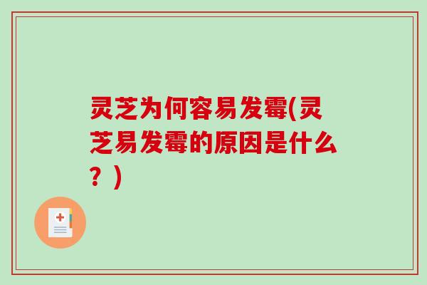 灵芝为何容易发霉(灵芝易发霉的原因是什么?)-第1张图片-破壁灵芝孢子粉研究指南 灵芝为何容易发霉(灵芝易发霉的原因是什么?)-第1张图片-破壁灵芝孢子粉研究指南