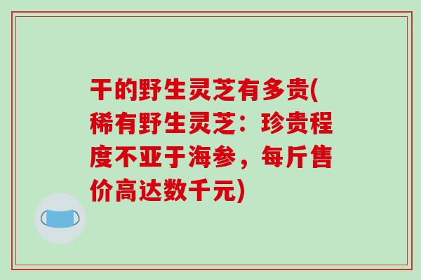 干的野生灵芝有多贵(稀有野生灵芝:珍贵程度不亚于海参,每斤售价高达数千元)-第1张图片-破壁灵芝孢子粉研究指南 干的野生灵芝有多贵(稀有野生灵芝:珍贵程度不亚于海参,每斤售价高达数千元)-第1张图片-破壁灵芝孢子粉研究指南
