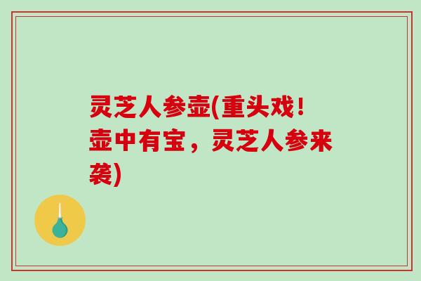 灵芝人参壶(重头戏！壶中有宝，灵芝人参来袭)-第1张图片-破壁灵芝孢子粉研究指南