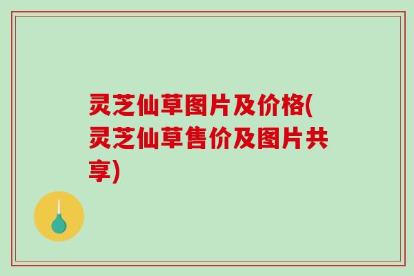 灵芝仙草图片及价格(灵芝仙草售价及图片共享)-第1张图片-破壁灵芝孢子粉研究指南 灵芝仙草图片及价格(灵芝仙草售价及图片共享)-第1张图片-破壁灵芝孢子粉研究指南