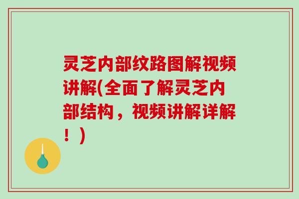 灵芝内部纹路图解视频讲解(全面了解灵芝内部结构,视频讲解详解!)-第1张图片-破壁灵芝孢子粉研究指南 灵芝内部纹路图解视频讲解(全面了解灵芝内部结构,视频讲解详解!)-第1张图片-破壁灵芝孢子粉研究指南