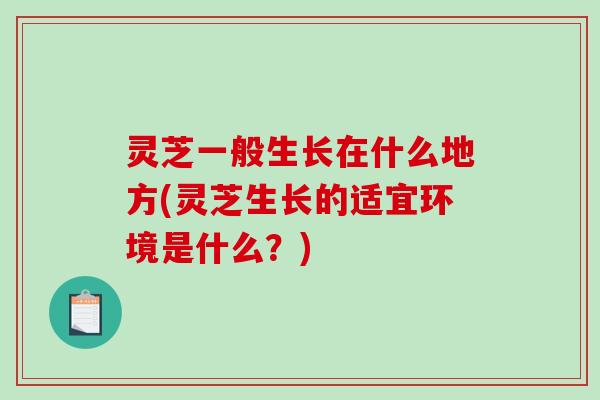 灵芝一般生长在什么地方(灵芝生长的适宜环境是什么?)-第1张图片-破壁灵芝孢子粉研究指南 灵芝一般生长在什么地方(灵芝生长的适宜环境是什么?)-第1张图片-破壁灵芝孢子粉研究指南