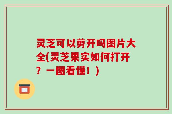 灵芝可以剪开吗图片大全(灵芝果实如何打开？一图看懂！)-第1张图片-破壁灵芝孢子粉研究指南