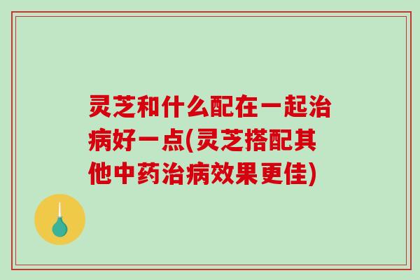 灵芝和什么配在一起治病好一点(灵芝搭配其他中药治病效果更佳)-第1张图片-破壁灵芝孢子粉研究指南 灵芝和什么配在一起治病好一点(灵芝搭配其他中药治病效果更佳)-第1张图片-破壁灵芝孢子粉研究指南