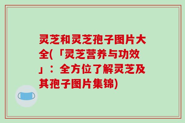 灵芝和灵芝孢子图片大全(「灵芝营养与功效」:全方位了解灵芝及其孢子图片集锦)-第1张图片-破壁灵芝孢子粉研究指南 灵芝和灵芝孢子图片大全(「灵芝营养与功效」:全方位了解灵芝及其孢子图片集锦)-第1张图片-破壁灵芝孢子粉研究指南