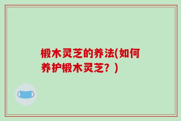 椴木灵芝的养法(如何养护椴木灵芝?)-第1张图片-破壁灵芝孢子粉研究指南 椴木灵芝的养法(如何养护椴木灵芝?)-第1张图片-破壁灵芝孢子粉研究指南